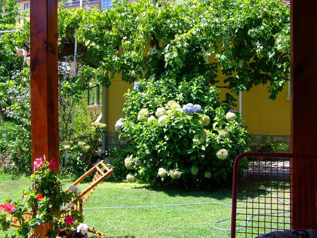 Holiday Home Vesna Budva Zimmer foto