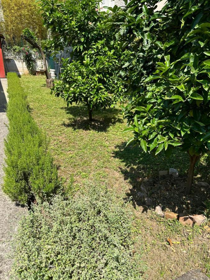 Holiday Home Vesna Budva Exterior foto