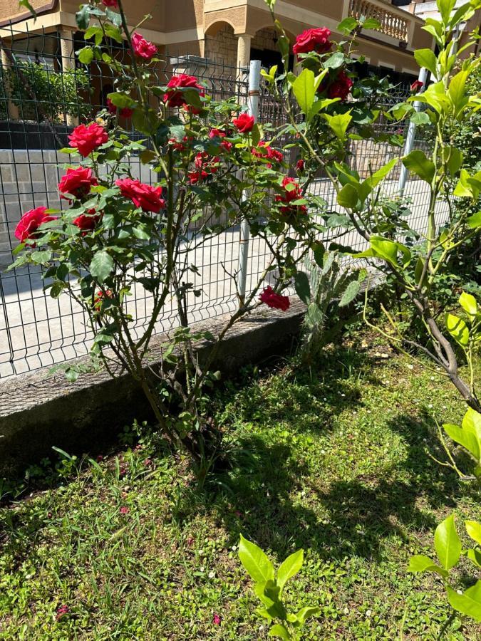 Holiday Home Vesna Budva Exterior foto